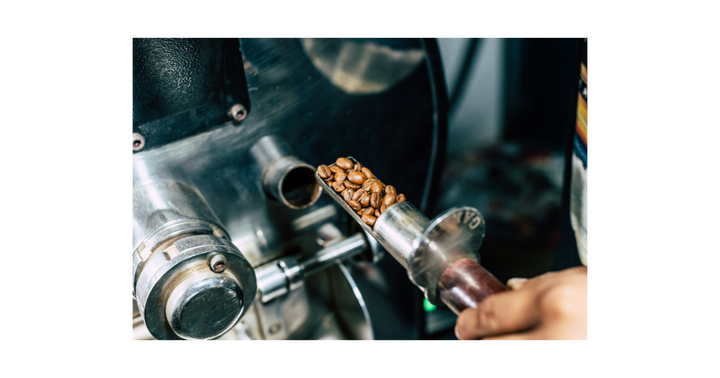 Arabica vs Robusta Coffee: What is the Difference?