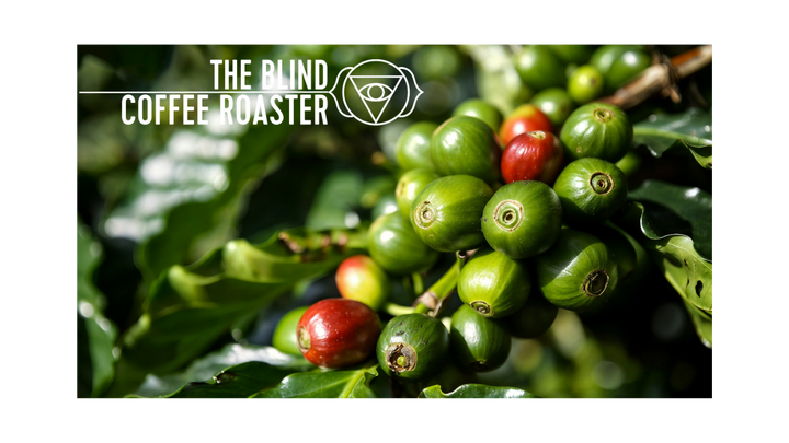 FROM BEAN TO CUP: HOW ETHICAL COFFEE CHANGES THE WORLD.