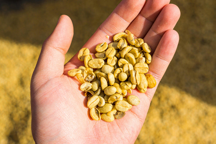 Bulk Coffee Beans Australia: Roasted to Order. Delivered on Schedule